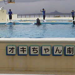 ファイル名: 2014112513020000.jpg
ファイルサイズ: 8.69KB 240(W)×240(H) 8.69