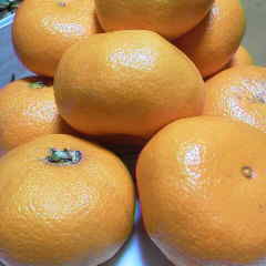 ファイル名: 2015010620290000.jpg
ファイルサイズ: 6.38KB 240(W)×240(H) 6.38