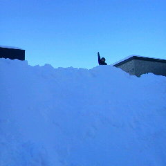 ファイル名: 2015012015120000.jpg
ファイルサイズ: 7.28KB 240(W)×240(H) 7.28