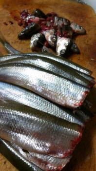 197(W)×350(H) 17.03