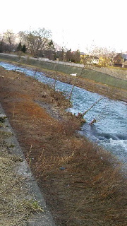 180(W)×320(H) 35.99