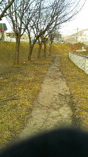 180(W)×320(H) 43.47