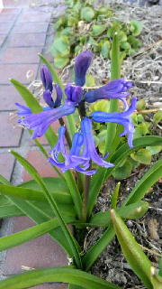 180(W)×320(H) 44.88