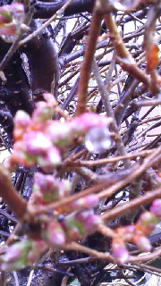 180(W)×320(H) 47.81