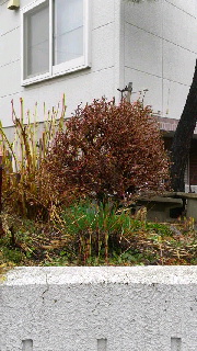 180(W)×320(H) 43.72