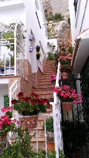 180(W)×320(H) 47.23