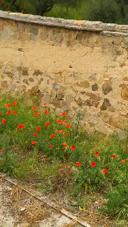 180(W)×320(H) 45.62