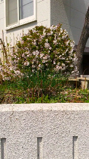 180(W)×320(H) 49.92