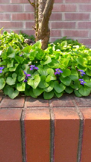 180(W)×320(H) 42.21