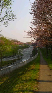 180(W)×320(H) 39.03