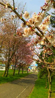 180(W)×320(H) 55.87