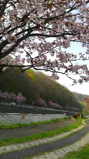 180(W)×320(H) 48.26