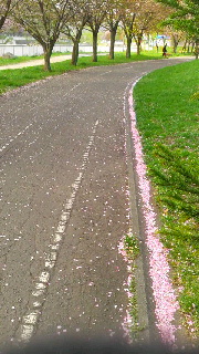 180(W)×320(H) 46.07