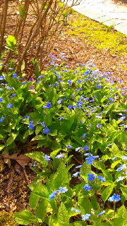 180(W)×320(H) 65.07