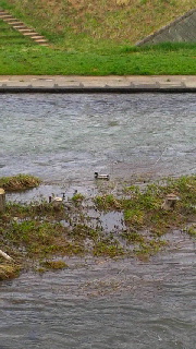 180(W)×320(H) 39.64