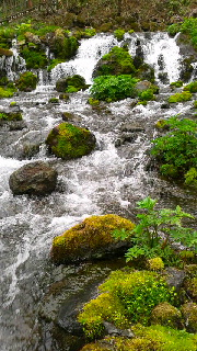 180(W)×320(H) 54.99