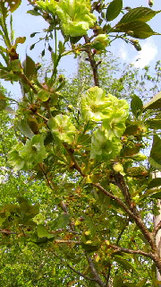 180(W)×320(H) 60.04