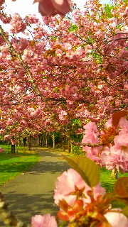 180(W)×320(H) 58.03