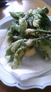 180(W)×320(H) 31.67