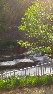 180(W)×320(H) 44.21