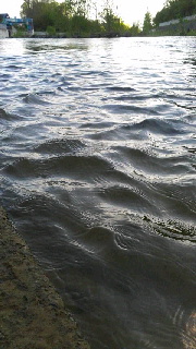 180(W)×320(H) 36.91