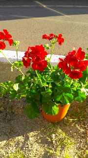 180(W)×320(H) 50.87