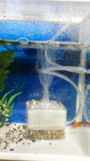 180(W)×320(H) 35.24