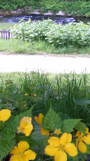 180(W)×320(H) 43.59