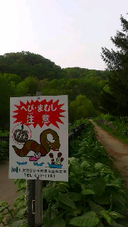 180(W)×320(H) 32.29