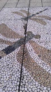 180(W)×320(H) 54.15