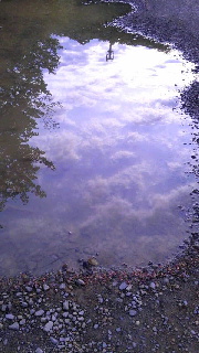 180(W)×320(H) 37.21