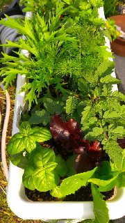 180(W)×320(H) 54.66