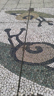 180(W)×320(H) 49.54