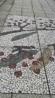 180(W)×320(H) 49.23