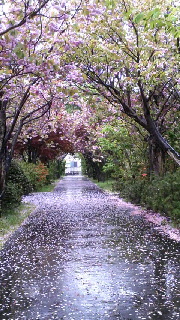 180(W)×320(H) 56.81