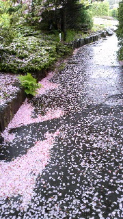 180(W)×320(H) 57.42