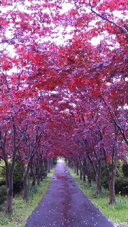 180(W)×320(H) 58.25