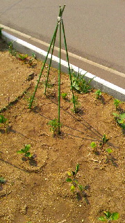 180(W)×320(H) 46.64