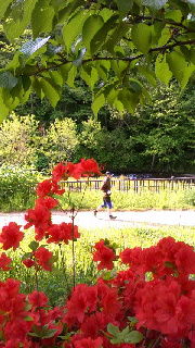 180(W)×320(H) 53.43