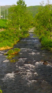 180(W)×320(H) 43.71