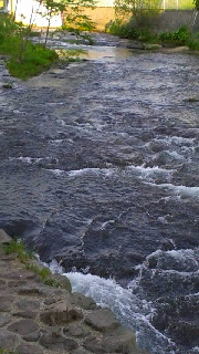 180(W)×320(H) 41.46