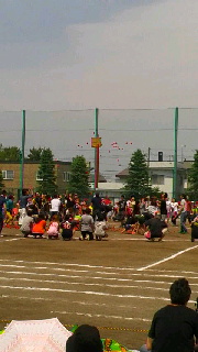 180(W)×320(H) 31.82