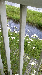 180(W)×320(H) 43.81