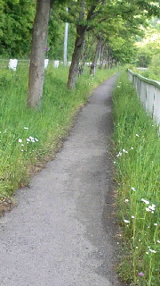 180(W)×320(H) 40.41