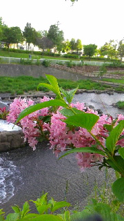 180(W)×320(H) 40.97