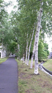 180(W)×320(H) 47.09