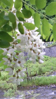 180(W)×320(H) 40.68