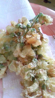 180(W)×320(H) 36.72