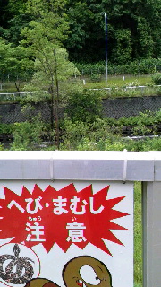 180(W)×320(H) 45.88