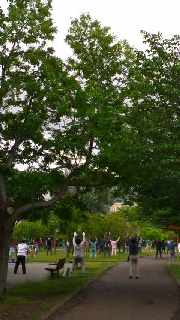 180(W)×320(H) 42.85